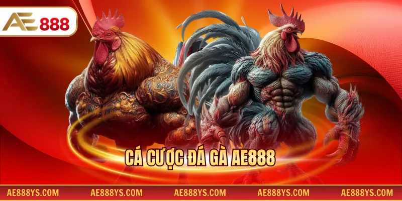 Cá cược đá gà AE888