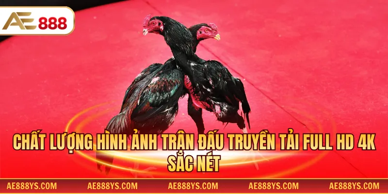 Chất lượng hình ảnh trận đấu truyền tải full HD 4K sắc nét