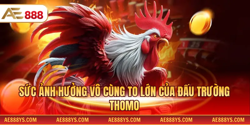 Sức ảnh hưởng vô cùng to lớn của đấu trường Thomo